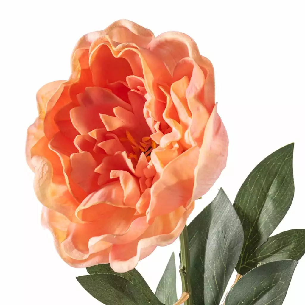 Brand new 🎁 6 Pack: Blush Peony Stem by Ashland® 🔔 8 Brand new 🎁 6 Pack: Blush Peony Stem by Ashland® 🔔 - Image 6