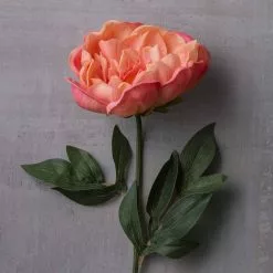 Best Sale ⭐ 6 Pack: Pink Peony Stem by Ashland® 🔔 -Ashland Sale Store MP626888 22