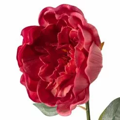 Best reviews of 🤩 6 Pack: Fuchsia Peony Stem by Ashland® 🔥 -Ashland Sale Store MP626892 20