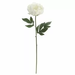 Promo 🧨 12 Pack: White Peony Stem by Ashland® 🤩