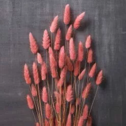 Discount 🧨 8 Pack: Assorted Lagurus Bundle by Ashland® ✨ -Ashland Sale Store MP628609 22