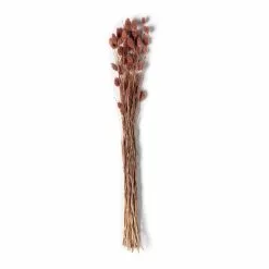 Cheap 🌟 6 Pack: Coral Poa Grass Bundle by Ashland® 🌟 -Ashland Sale Store MP628612 21