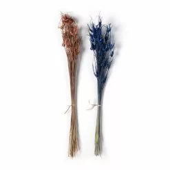 Wholesale ⌛ 8 Pack: Assorted Star Grass Bundle by Ashland® ✔️ -Ashland Sale Store MP628613 21