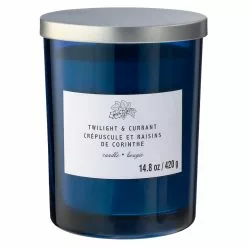 Wholesale 🔔 8 Pack: Twilight & Currant 2-Wick Jar Candle by Ashland® ✔️