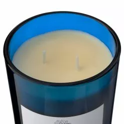 Wholesale 🔔 8 Pack: Twilight & Currant 2-Wick Jar Candle by Ashland® ✔️ -Ashland Sale Store MP638398 31