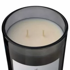 Wholesale 👍 8 Pack: Embers & Musk 2-Wick Jar Candle by Ashland® 😍 -Ashland Sale Store MP638410 31