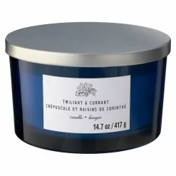 Budget ❤️ 8 Pack: Twilight & Currant 3-Wick Jar Candle by Ashland® 🎉