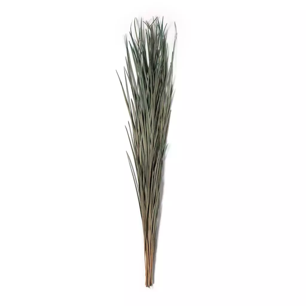 Cheapest ⌛ 8 Pack: Green Magnolia Flax Grass Bundle by Ashland® ⌛ 5 Cheapest ⌛ 8 Pack: Green Magnolia Flax Grass Bundle by Ashland® ⌛ - Image 3